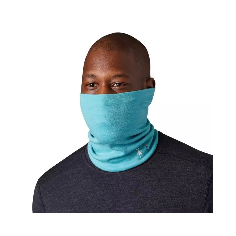 Smartwool Merino 250 Neck Gaiter (Blue Heather)